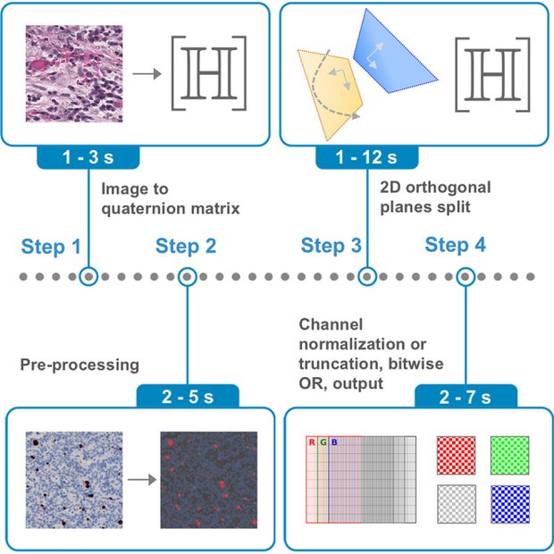 Four-step workflow diagram showing the conversion of an image into a quaternion matrix, pre-processing, the 2D orthogonal plane split and channel normalization for computational image analysis.