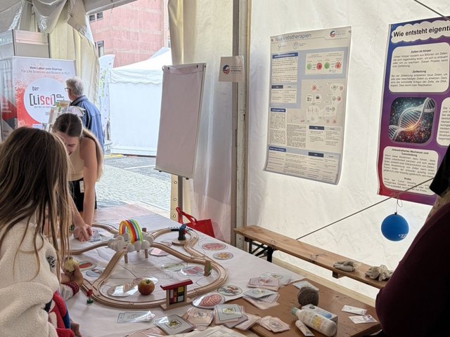 Visitors interact with an educational display featuring a wooden train track inside a tent with scientific posters.