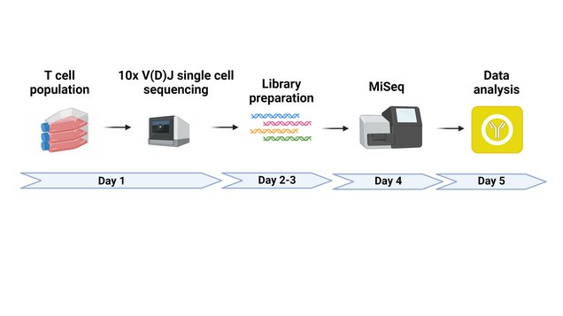 Graphic of the 10x Sequencing method