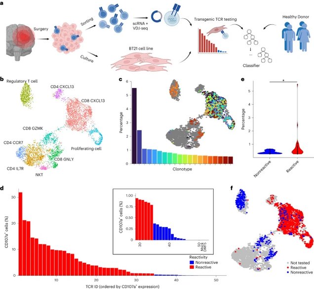 Multi-panel figure showing the predicTCR workflow, TIL scRNA/VDJ sequencing, TCR clonotypes, functional reactivity testing, and UMAP projections of reactive versus nonreactive T cells.